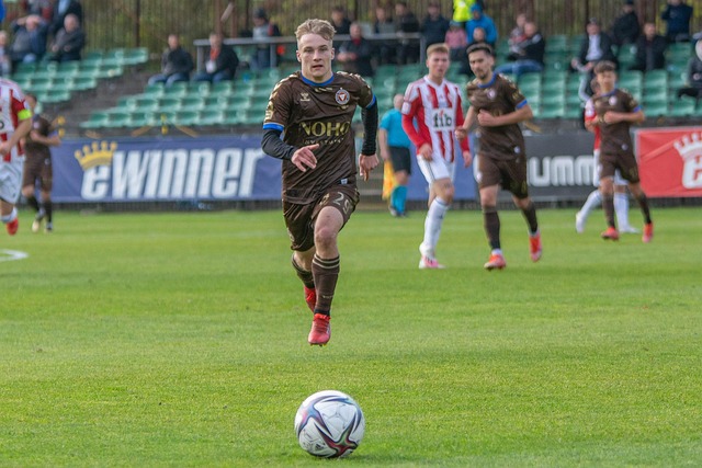 总体而言 总体而言